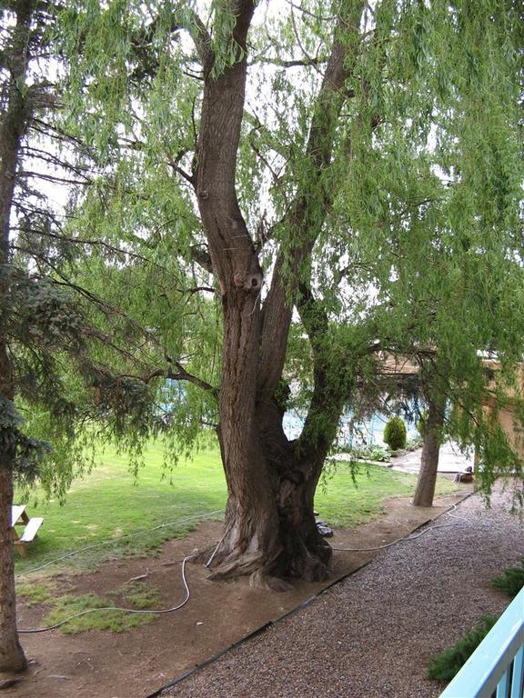 Indian Hills Inn, Taos Plaza Екстериор снимка